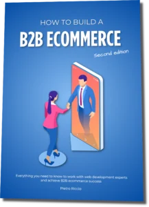 Book cover of How to build a B2B E-Commerce Website 
